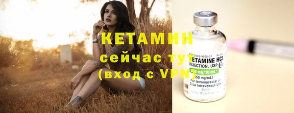 индика Осинники