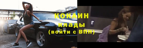 индика Осинники