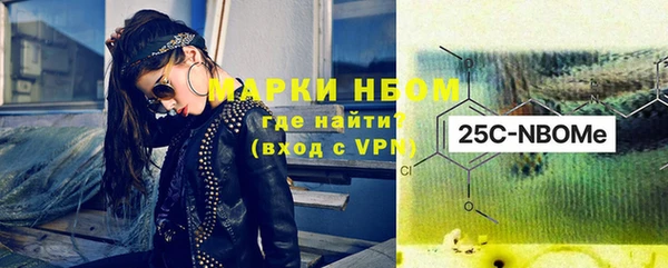 индика Осинники