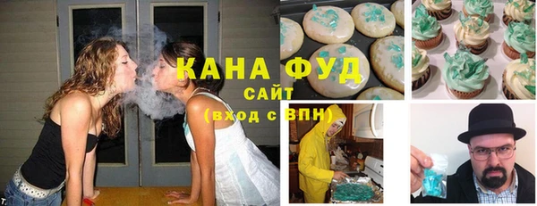 индика Осинники
