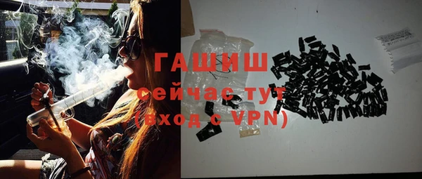 индика Осинники
