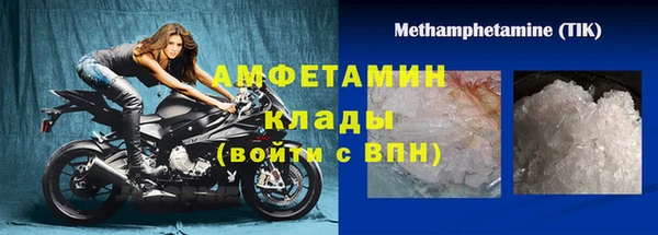 индика Осинники